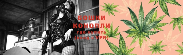 СК Елизово