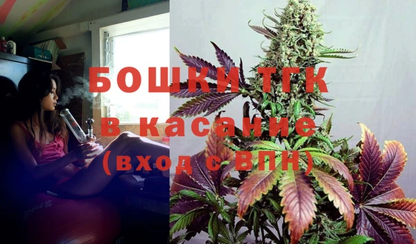 экстази Ельня
