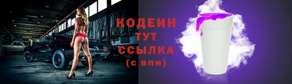 СК Елизово