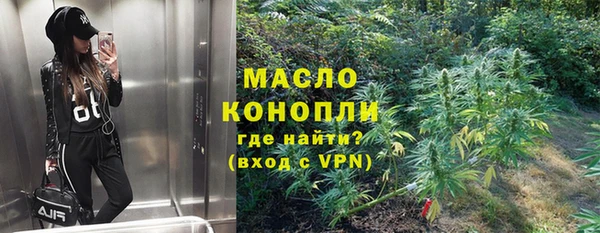 СК Елизово