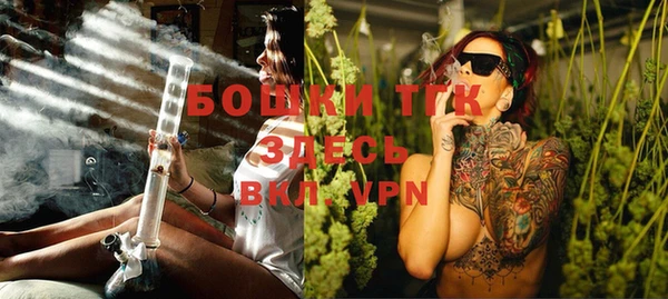 экстази Ельня