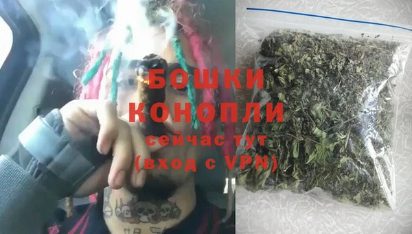 СК Елизово