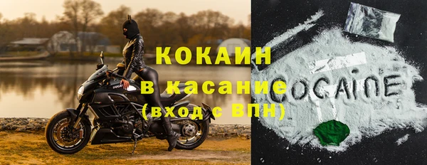 СК Елизово