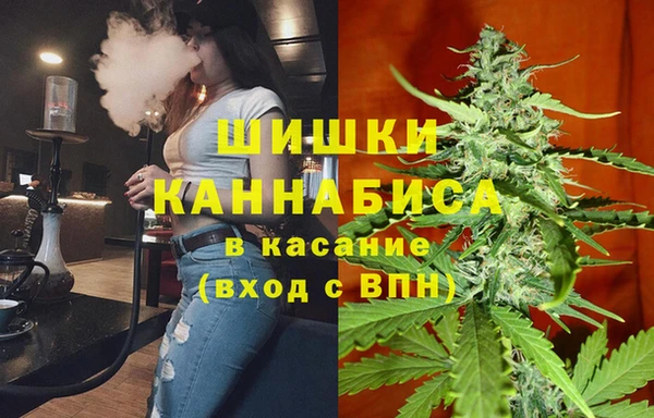 СК Елизово