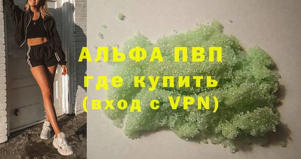 СК Елизово