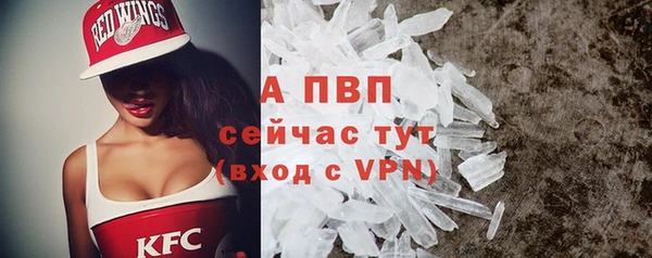 СК Елизово