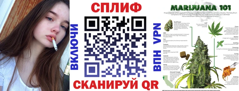 Конопля ГИДРОПОН  Купить где  Зеленоградск 